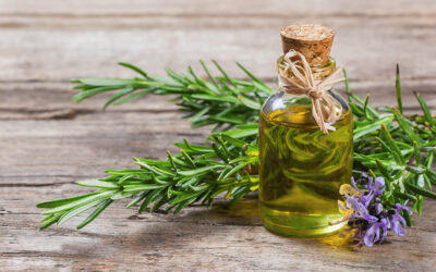 Olio di Rosmarino..toccasana per i capelli !